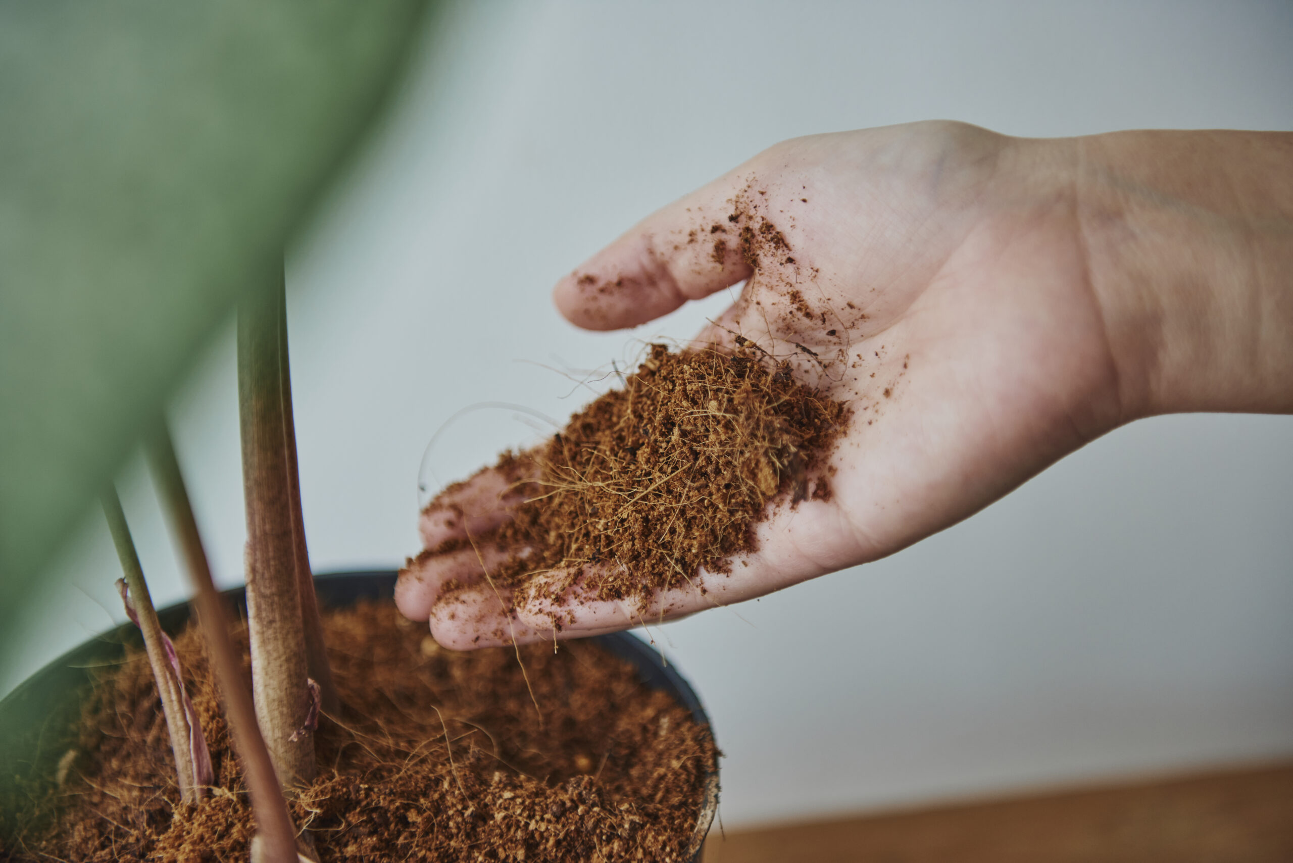 Rax Gax 100 iger Naturd nger aus Alpaka Dung